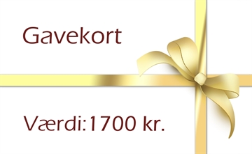 LegLove Gavekort værdi: 1700 kr.